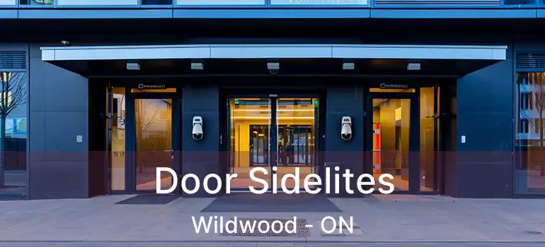  Door Sidelites Wildwood - ON
