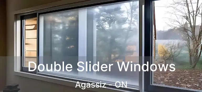  Double Slider Windows Agassiz - ON