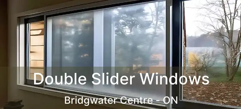  Double Slider Windows Bridgwater Centre - ON