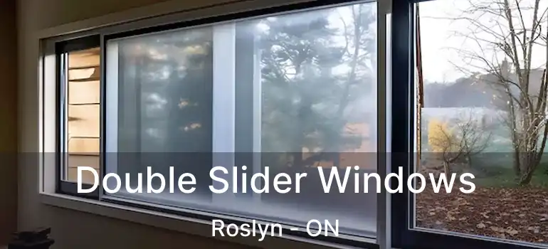  Double Slider Windows Roslyn - ON