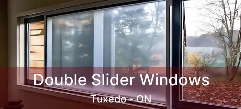  Double Slider Windows Tuxedo - ON