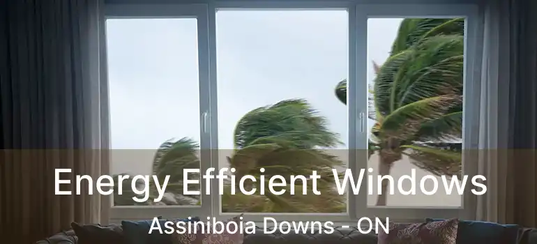  Energy Efficient Windows Assiniboia Downs - ON