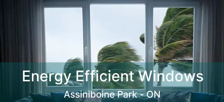  Energy Efficient Windows Assiniboine Park - ON
