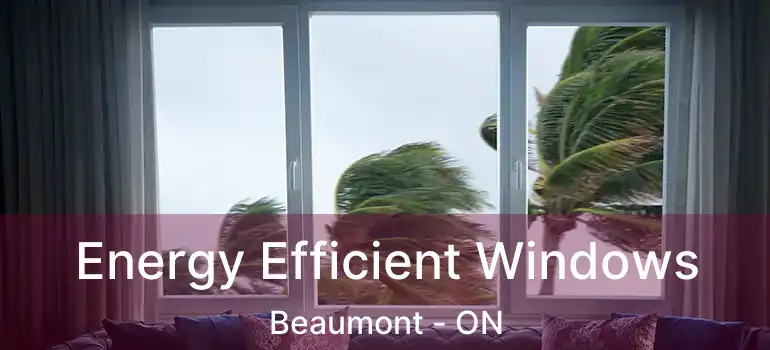 Energy Efficient Windows Beaumont - ON