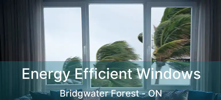  Energy Efficient Windows Bridgwater Forest - ON