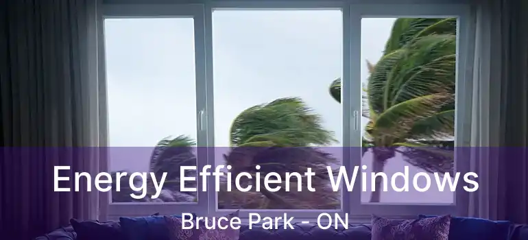  Energy Efficient Windows Bruce Park - ON