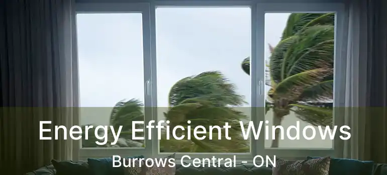  Energy Efficient Windows Burrows Central - ON