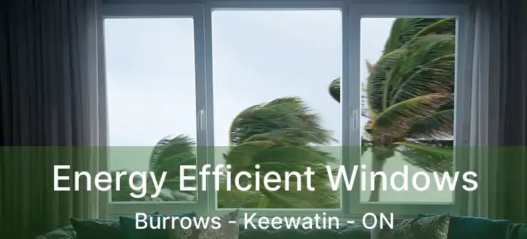  Energy Efficient Windows Burrows - Keewatin - ON