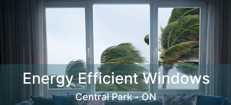  Energy Efficient Windows Central Park - ON
