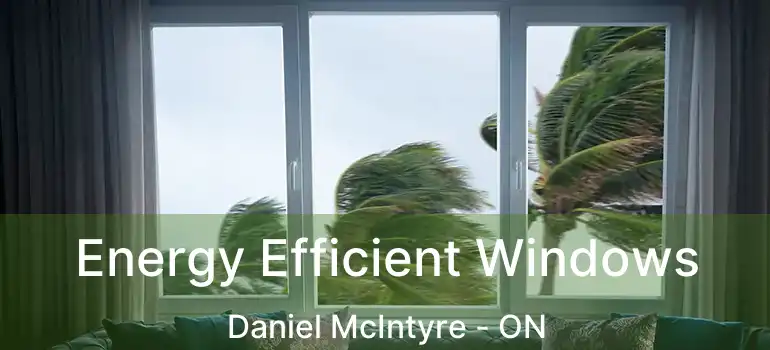  Energy Efficient Windows Daniel McIntyre - ON