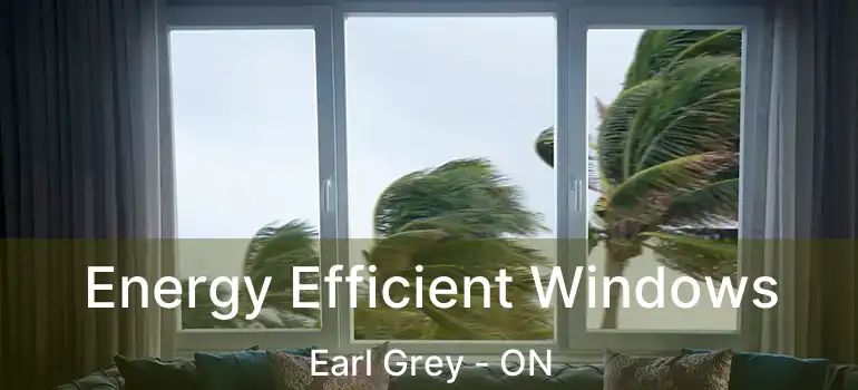  Energy Efficient Windows Earl Grey - ON