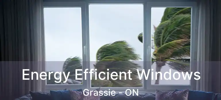  Energy Efficient Windows Grassie - ON