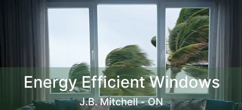  Energy Efficient Windows J.B. Mitchell - ON