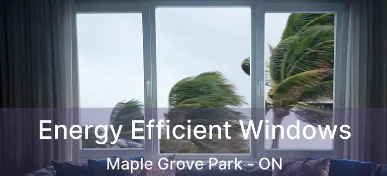  Energy Efficient Windows Maple Grove Park - ON