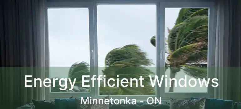 Energy Efficient Windows Minnetonka - ON