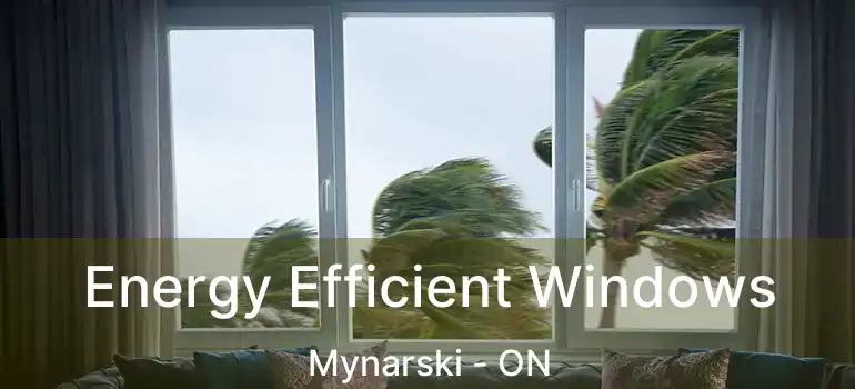  Energy Efficient Windows Mynarski - ON