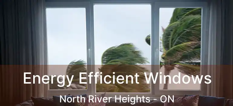  Energy Efficient Windows North River Heights - ON