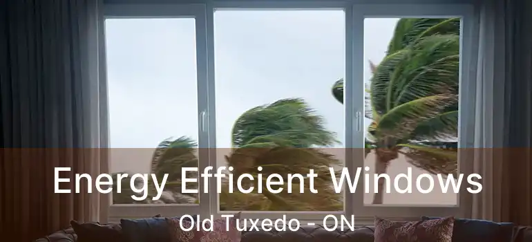  Energy Efficient Windows Old Tuxedo - ON