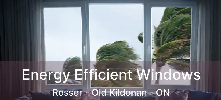  Energy Efficient Windows Rosser - Old Kildonan - ON