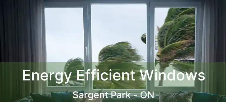  Energy Efficient Windows Sargent Park - ON