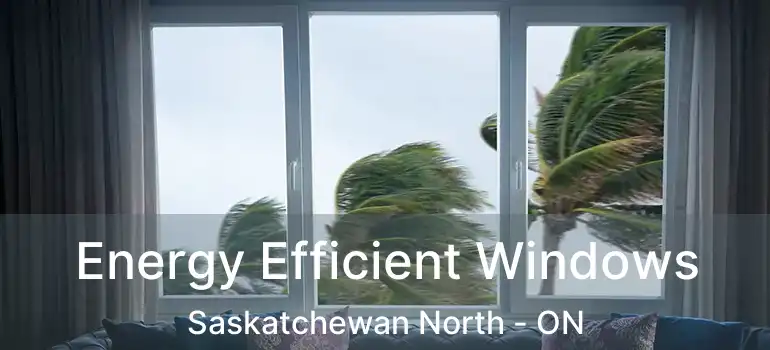  Energy Efficient Windows Saskatchewan North - ON