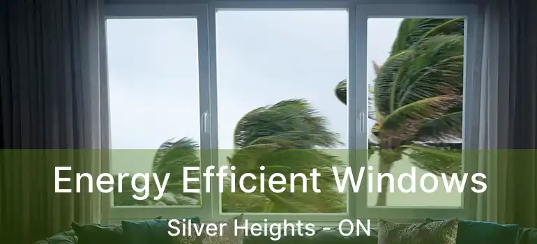  Energy Efficient Windows Silver Heights - ON