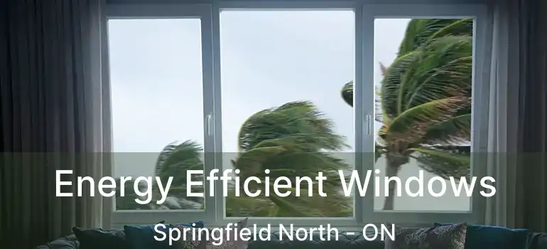  Energy Efficient Windows Springfield North - ON