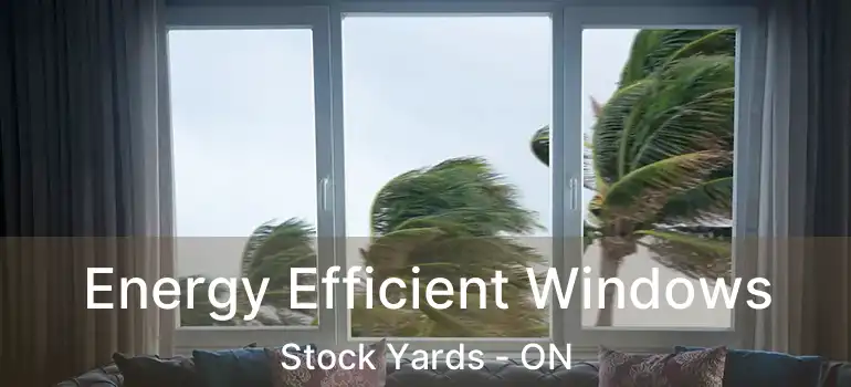  Energy Efficient Windows Stock Yards - ON