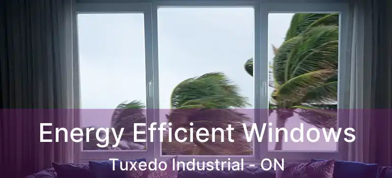  Energy Efficient Windows Tuxedo Industrial - ON