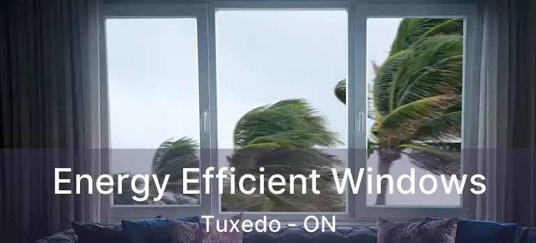  Energy Efficient Windows Tuxedo - ON