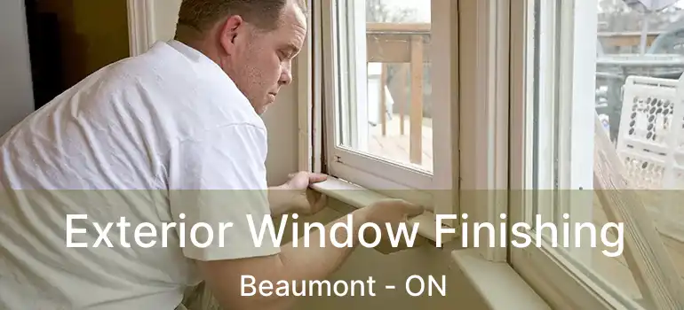  Exterior Window Finishing Beaumont - ON