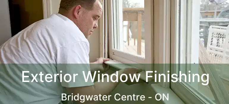  Exterior Window Finishing Bridgwater Centre - ON