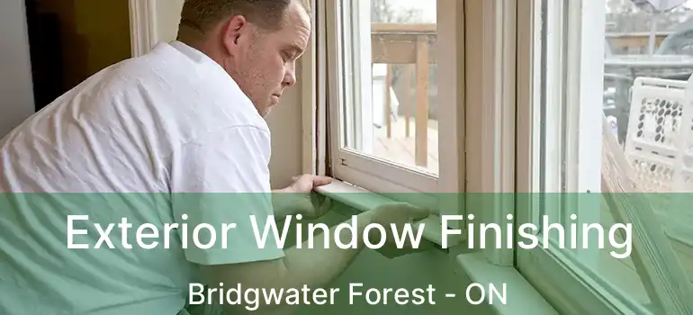  Exterior Window Finishing Bridgwater Forest - ON