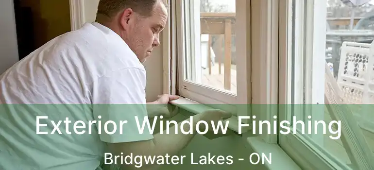  Exterior Window Finishing Bridgwater Lakes - ON