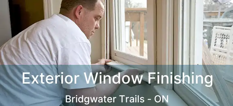  Exterior Window Finishing Bridgwater Trails - ON