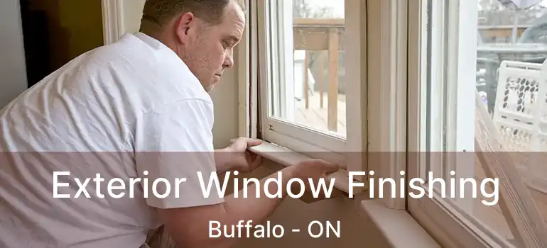  Exterior Window Finishing Buffalo - ON