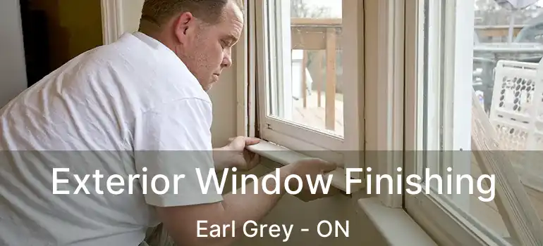  Exterior Window Finishing Earl Grey - ON