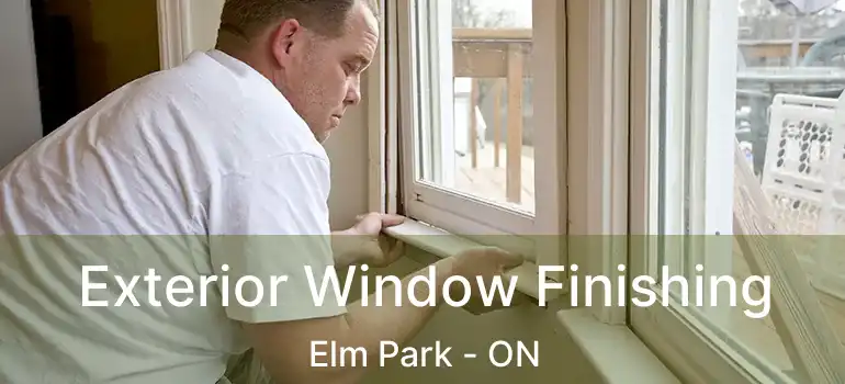  Exterior Window Finishing Elm Park - ON