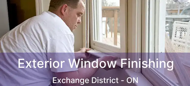  Exterior Window Finishing Exchange District - ON