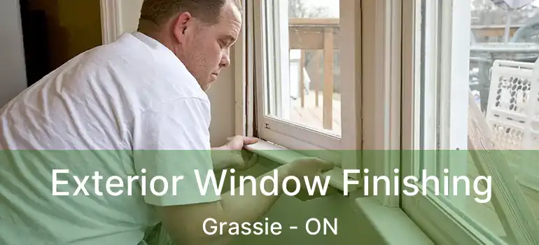  Exterior Window Finishing Grassie - ON