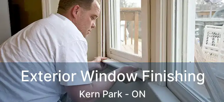 Exterior Window Finishing Kern Park - ON