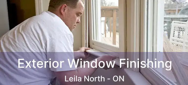  Exterior Window Finishing Leila North - ON