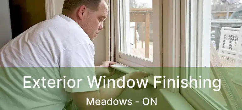  Exterior Window Finishing Meadows - ON