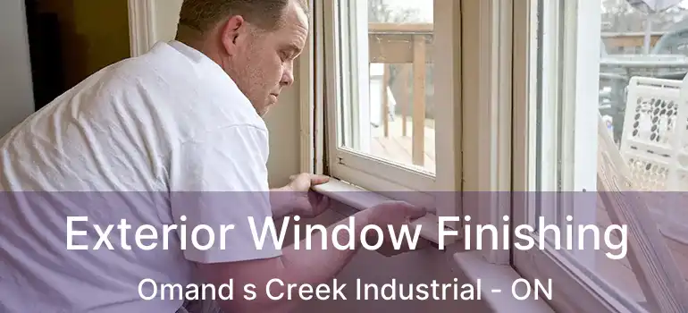  Exterior Window Finishing Omand s Creek Industrial - ON