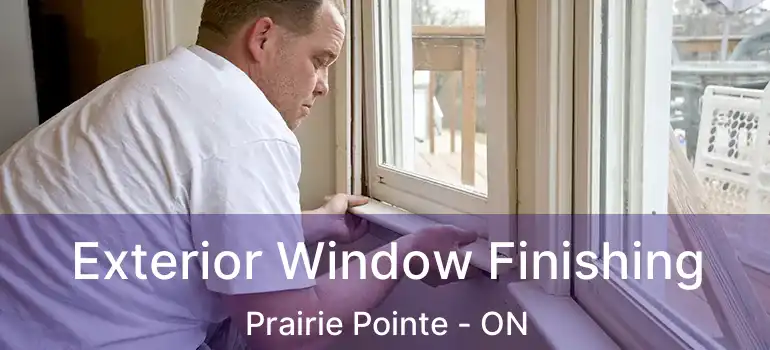  Exterior Window Finishing Prairie Pointe - ON