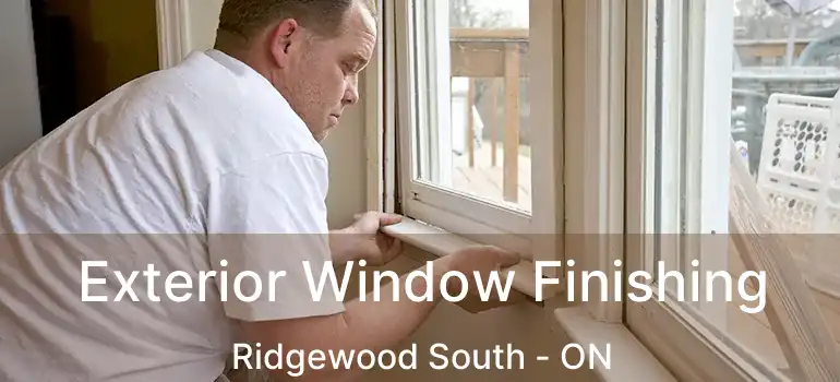  Exterior Window Finishing Ridgewood South - ON
