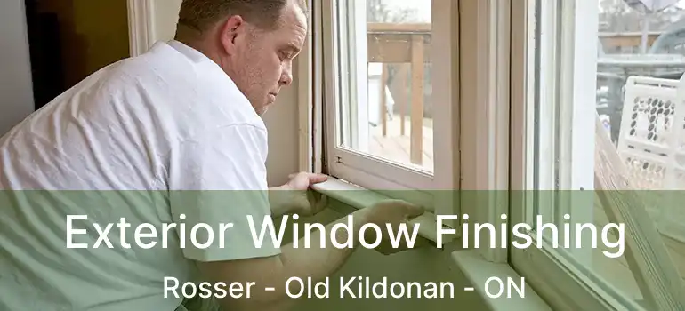  Exterior Window Finishing Rosser - Old Kildonan - ON