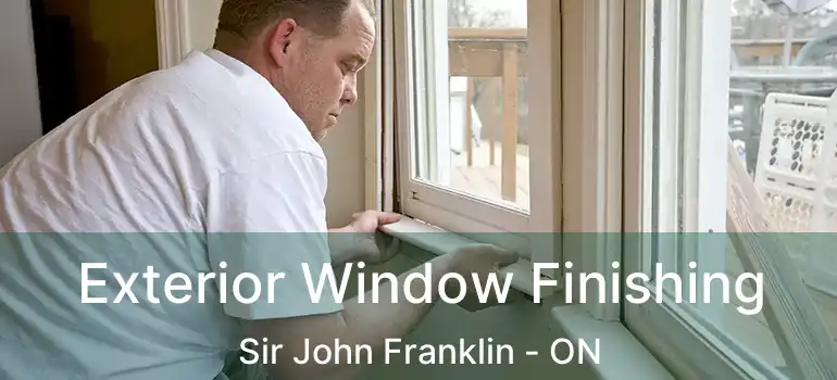  Exterior Window Finishing Sir John Franklin - ON