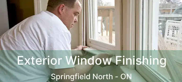  Exterior Window Finishing Springfield North - ON