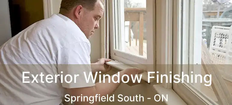  Exterior Window Finishing Springfield South - ON